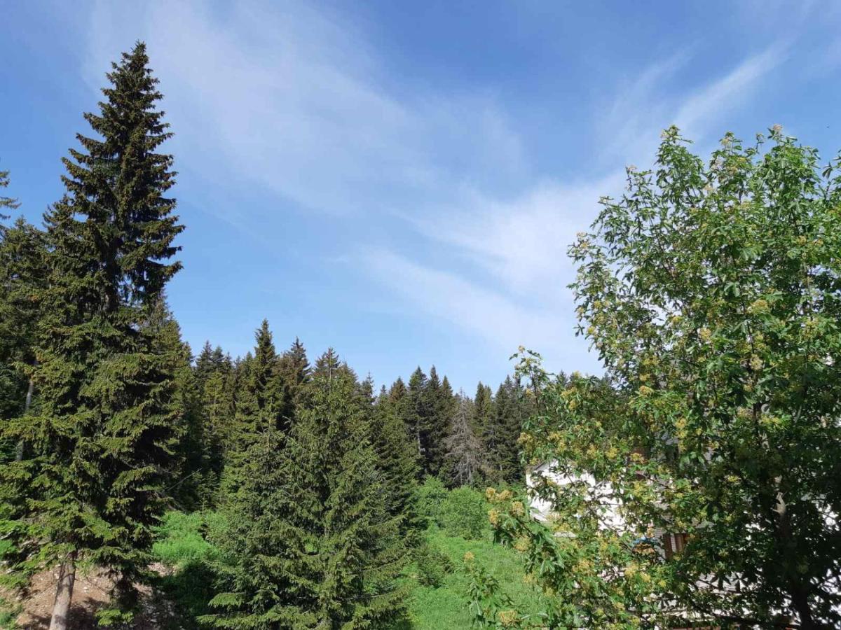 Apartments Sipcic Žabljak 外观 照片