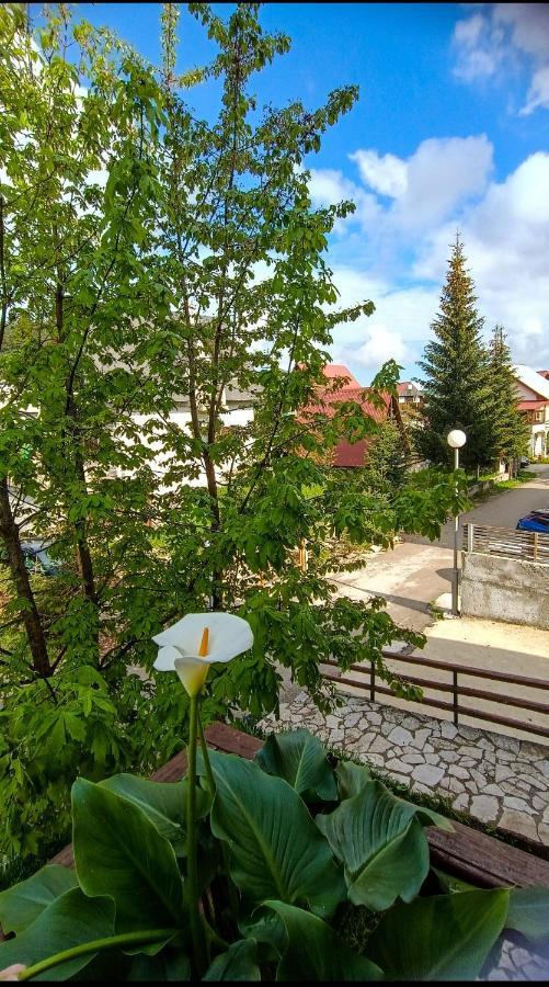 Apartments Sipcic Žabljak 外观 照片