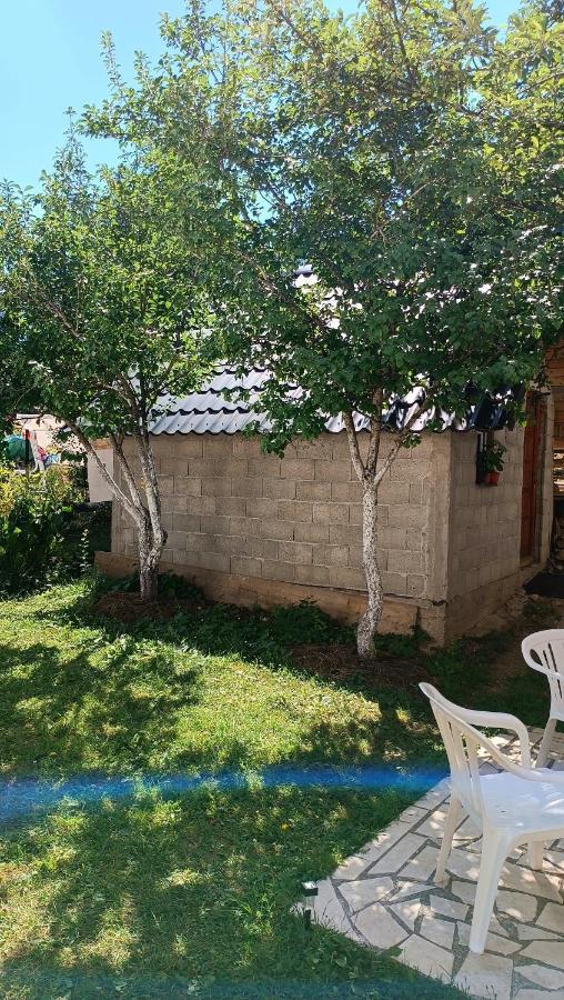 Apartments Sipcic Žabljak 外观 照片